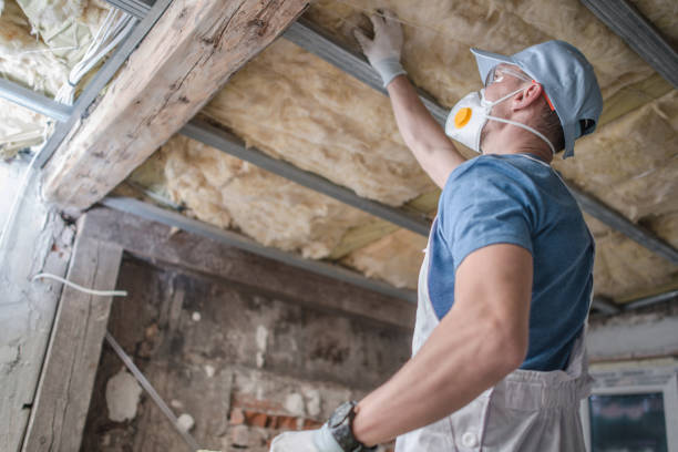 Best Eco-Friendly Insulation in Danville, IN